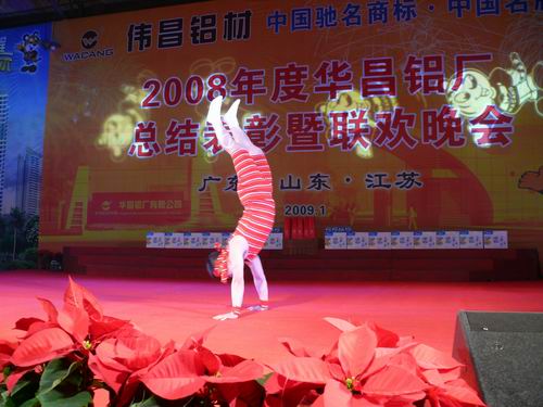 2008年度pg电子模拟器铝厂总结表扬暨联欢晚会-伟昌铝材