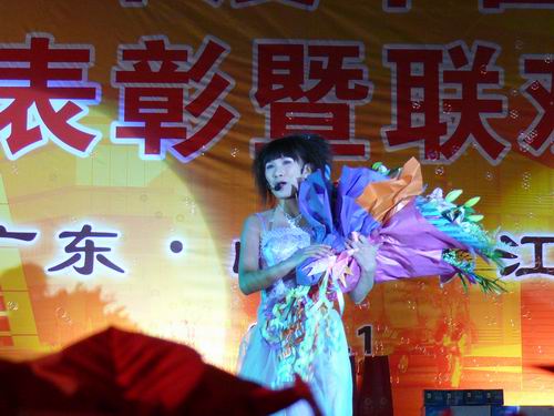 2008年度pg电子模拟器铝厂总结表扬暨联欢晚会-伟昌铝材