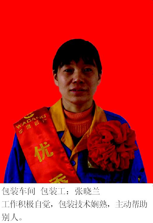 2008年度pg电子模拟器铝厂优异员工-伟昌铝材