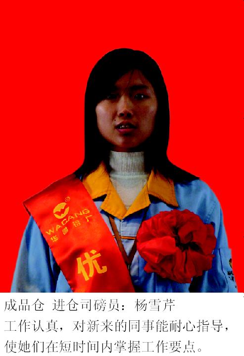 2008年度pg电子模拟器铝厂优异员工-伟昌铝材