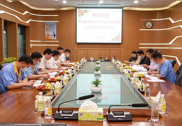 南海区铝型材行业协会手艺专家一行莅临pg电子模拟器集团指导事情